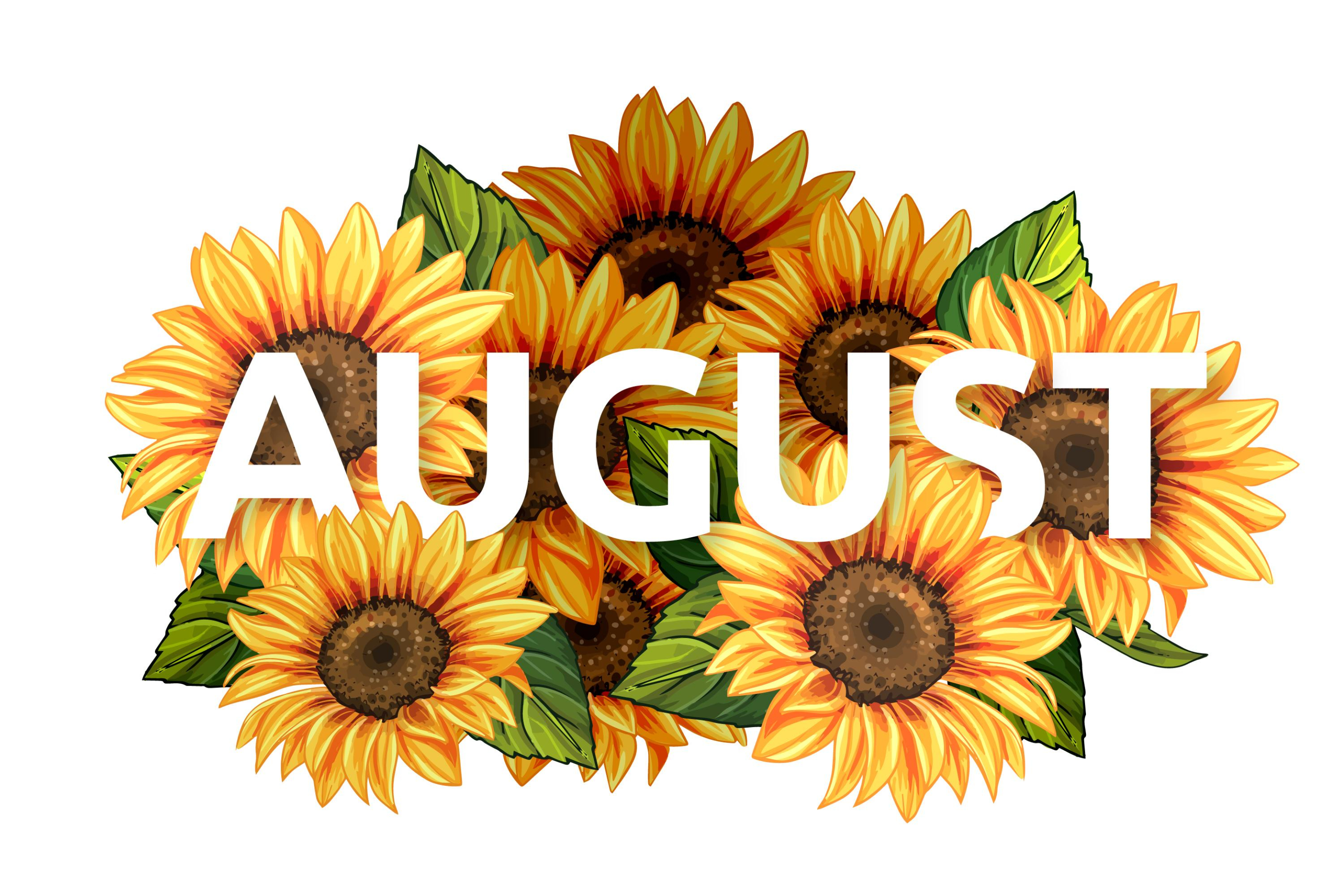 August 2026: Trivia Answers, Safe Interactions & De-escalation, Ladder Safety and Special Ballot Information