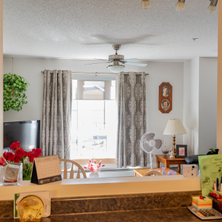 Silver Birch Manor