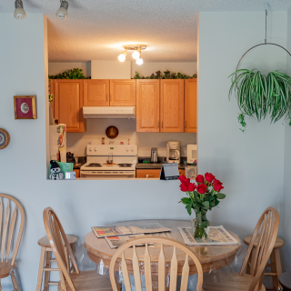 Silver Birch Manor