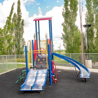 Silver Birch Court