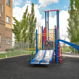 Silver Birch Court