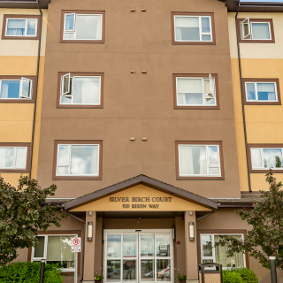 Silver Birch Court