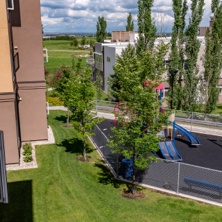 Silver Birch Court