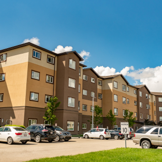 Silver Birch Court