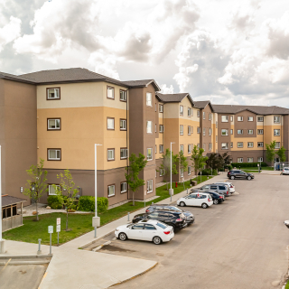 Silver Birch Court