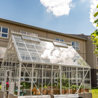 Silver Birch Lodge