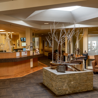 Silver Birch Lodge