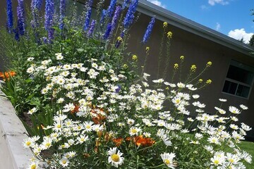 Strathcona in Bloom