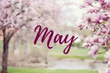 May 2025: Engagement Survey Update, May Mental Health Awareness Month, Dayforce Explanation Tab for Pay Statements